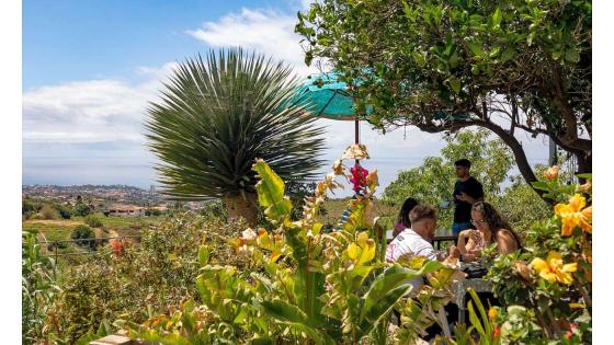 Guachinche el Cubano på Tenerife